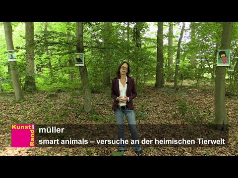 Kunst am Rand 2022 - müller: "smart animals - versuche an der heimischen tierwelt"