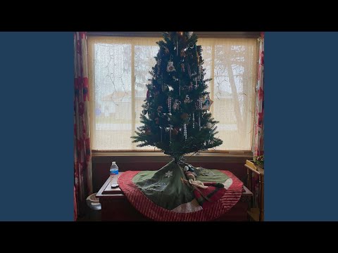 ALONE FOR THE HOLIDAYS