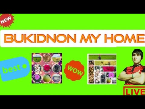 PARADISE AT THE HEART OF MINDANAO | BUKIDNON, MY HOME lyrics