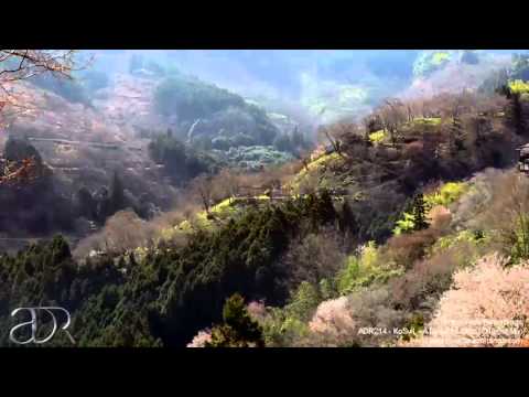 ADR214  KoSviL - A Beautiful Mind (Original Mix)