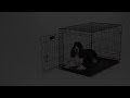 Видео о товаре Contour 842DD, клетка для крупных собак, две двери / MidWest (США)