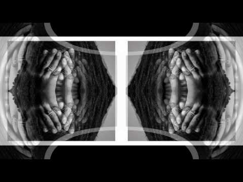 Dogy vs Keizer Wie is er sneller?