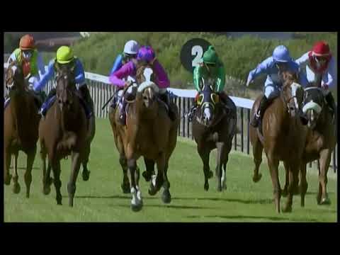 2021 Majorca Stakes G1 - Captain's Ransom (蘭森隊長) - R.Fourie