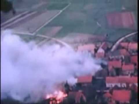 WW2: Gun Camera Footage of P-47