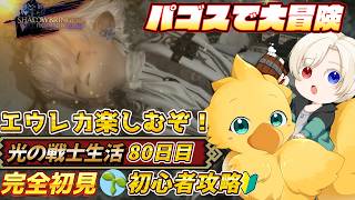 【#ff14 /初心者/参加型】　エウレカやるぞ！！！！！　映り込み歓迎　初心者🔰光の戦士  DC Gaia 鯖Ridill      ＊ネタバレ注意 #80