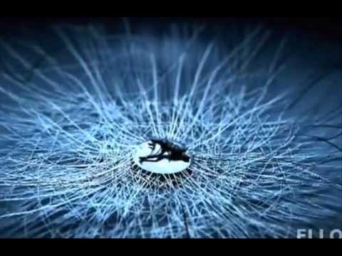 Diana Diez & Kostas Martakis - SEX INDIGO (2012)