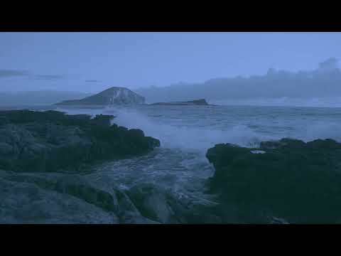 REZarin ft. Shelley Harland - Wicked Game