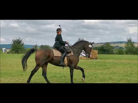 Kavallerie Meisterschaft 2021 - Olympia Dressur 1920