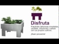 Video de kits huertos