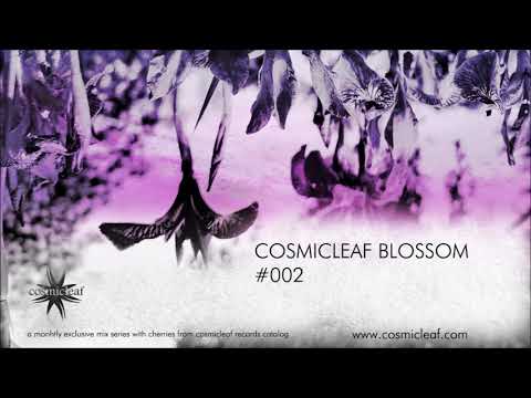 Cosmicleaf Blossom # 002 (Mixed by Nick Miamis aka Side Liner)