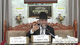 הלכות תפילת הדרך ומוסר בשלום בית - בית הכנסת מוסאיוף (בית הכנסת מוסאיוף) - התמונה מוצגת ישירות מתוך אתר האינטרנט יוטיוב. זכויות היוצרים בתמונה שייכות ליוצרה. קישור קרדיט למקור התוכן נמצא בתוך דף הסרטון