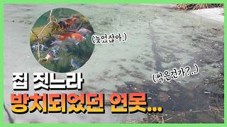 깜짝 놀랐습니다.. 괜찮은거지?