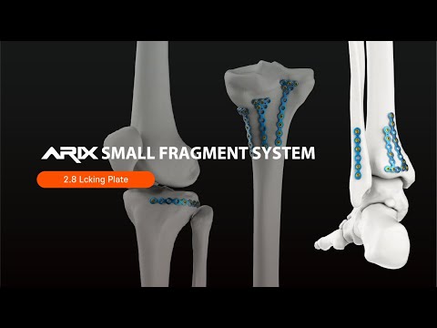[ARIX OS] Small Fragment System