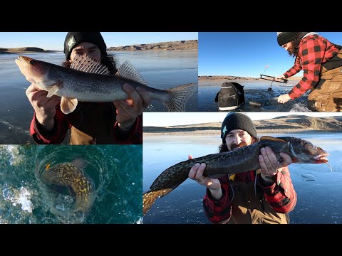 Ice Fishing Diefenbaker BARE-BONES Electronics VERY Possible