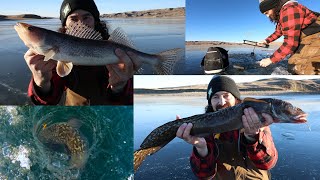 Ice Fishing Diefenbaker BARE-BONES Electronics VERY Possible