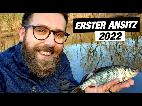 Am Fluss auf dicke Karpfen und Döbel angeln.