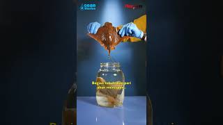 Download lagu Jangan Menggelitiki Ikan Pari !!  #faktamenarik #faktaunik mp3