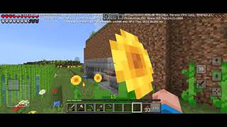 I Survived 100 Days  In Minecraft: Bedrock pocket edition mobile Hardcore(Hindi)! Part 5 the end