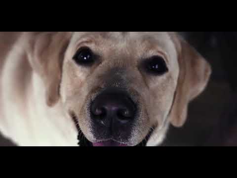 Key to Happiness Teaser