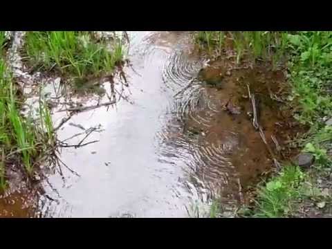 Mofeta w Muszynie, na Potoku Złockim