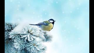 Wailin&#39; Jennys - Arlington