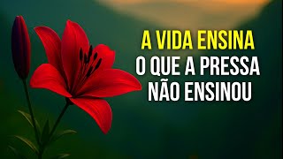 Depois de Tudo, a Mente Aprende