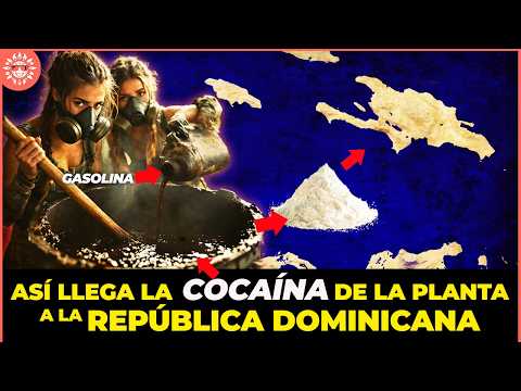 Kiskeya Life and 2 more