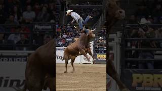 Download lagu Bull Launches the Cowboy High in the Air! 🤠😨 | USA Rodeo Madness mp3 Download lagu Bull Launches the Cowboy High in the Air! 🤠😨 | USA Rodeo Madness mp3