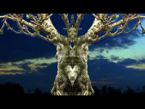 Bonsai Filmanimation, Forsythia, Wilder Wein, Testfilm mit beeindruckenden Bildern