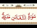 064 - Surah At-Taghabun - Without Ad