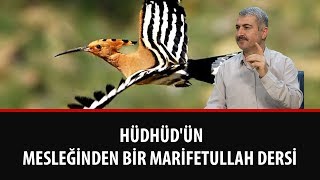 Dr. Burhan SABAZ - Hüdhüd'ün Mesleğinden Bir Marifetullah Dersi
