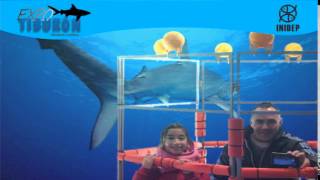 DIA 2 Expo Tiburon123