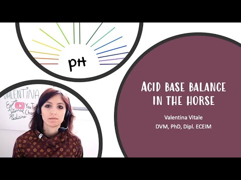 Acid base balance in horses - Vet student