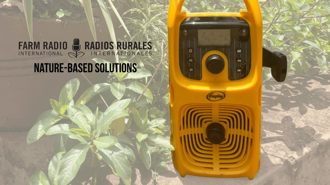 How radio is bridging the gap between small-scale farmers and policymakers to address climate change