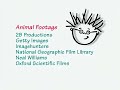 Closing To Baby Dolittle World Animals 2001 DVD Better Quality