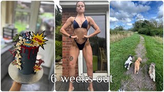 Prep Vlog 6 weeks out | Ticking the boxes & Decorating cakes