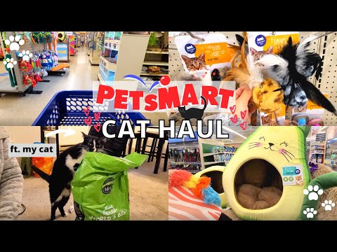 My Cat's Monthly Petsmart Haul 2021 / Shopping for cat supplies, new treats & toys