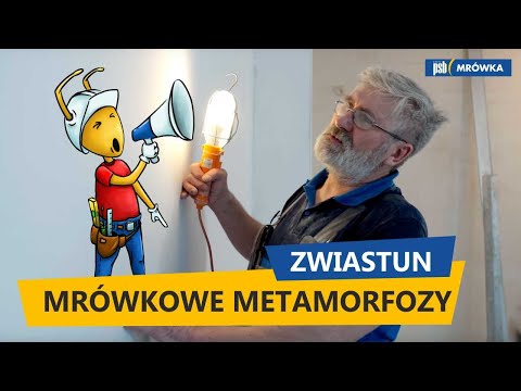 Mrówkowe Metamorfozy – zwiastun nowego cyklu odcinków na kanale PSB Mrówka