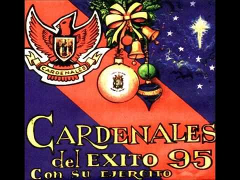 Cardenales del Exito   Mi Sangre Gaitera