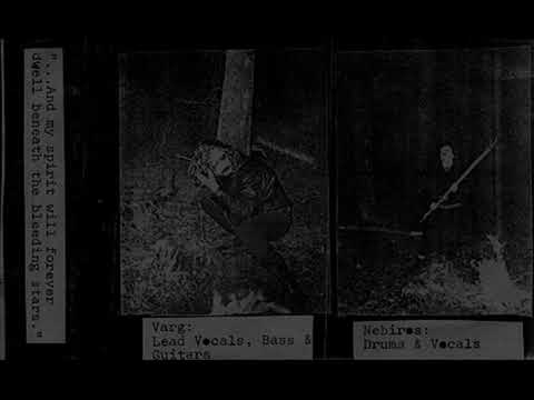 Fleurety -  Descent Into Darkness (1993/black metal/raw/Norway)