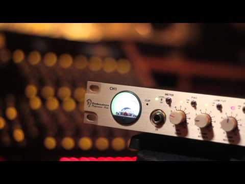 Fredenstein F200 Compressor & Preamp image 10