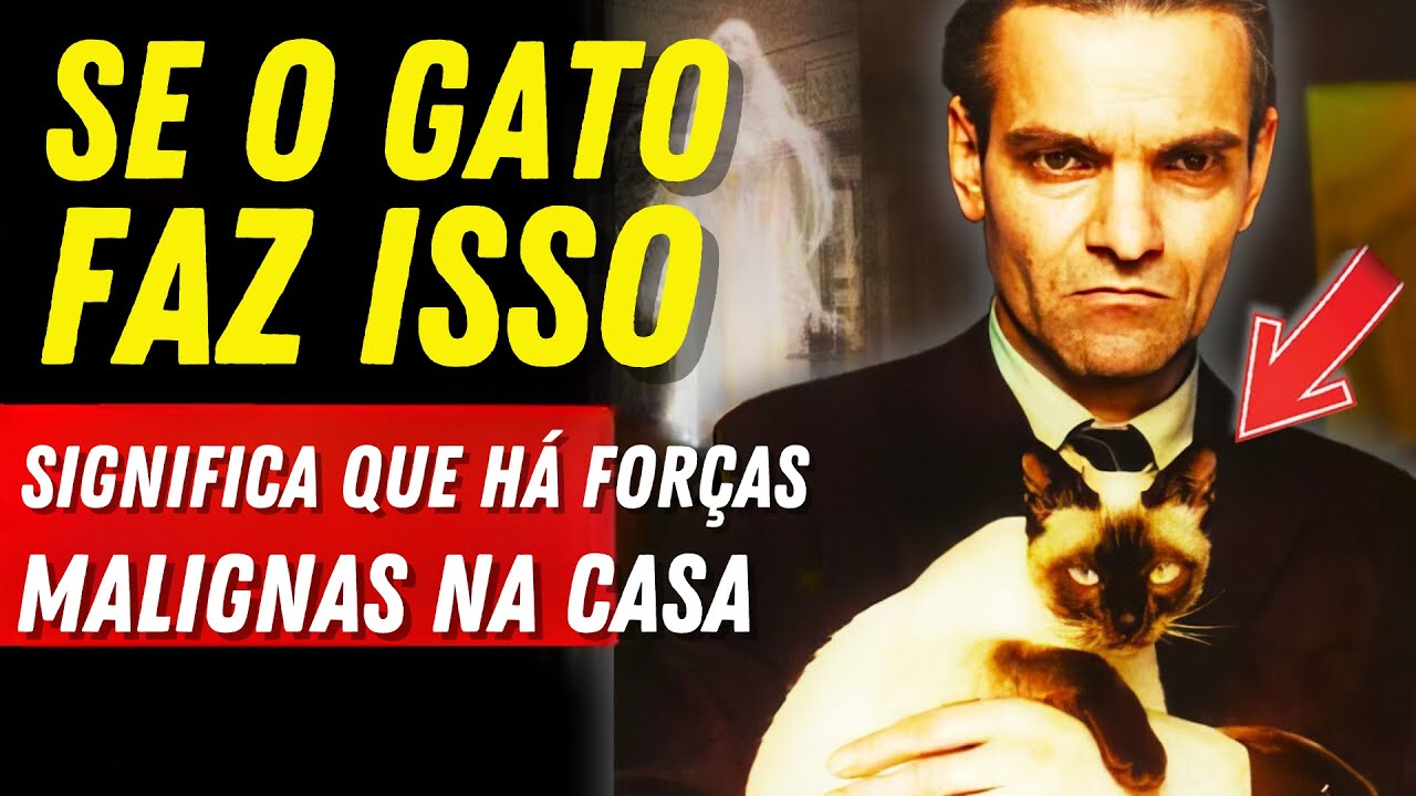 FIQUE ATENTO A ESTES SINAIS... Como o Gato Nos Alertas Sobre Energia Negativa.