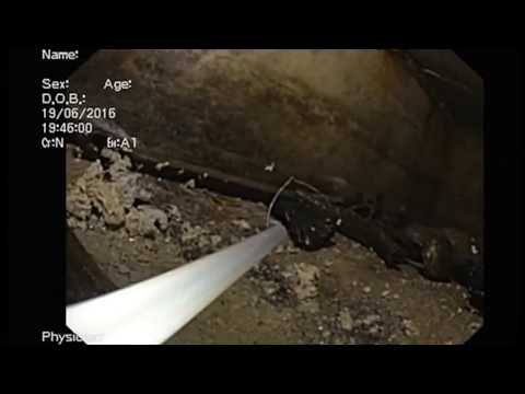 Extraordinar!!!!  LIVE moastele Sfantului Nicolae din Bari