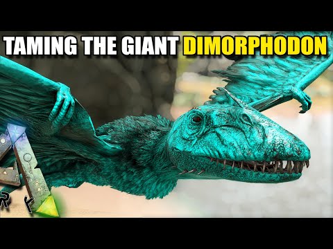 TAMING THE GIANT DIMORPHODON, WE CAN RIDE IT !!  | GAIA MODDED | ARK SURVIVAL EVOLVED [EP5]