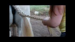 How-To: Braid Manes and Tails for Horse Shows