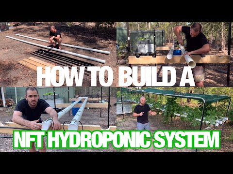 Como construir um sistema hidropônico NFT com técnica de filme nutricional