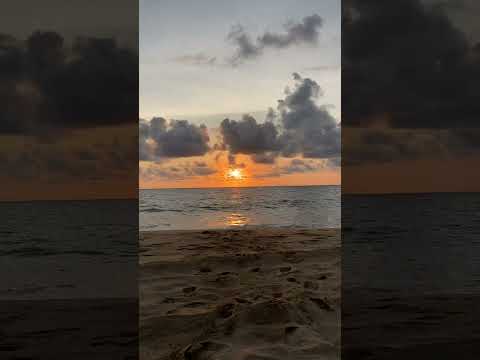 Beach person || Love #beach #sadanannu #mahanati #sandlove #beaches #💌 #music #love #viral