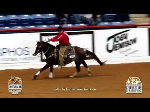 Brother Jackson - 2016 NRCHA Celebration of Champions (Rein Work - WGH)