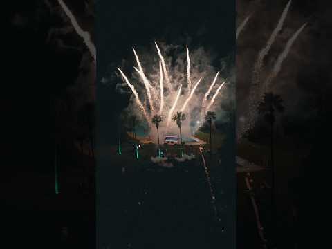 Vuelve LOBBO VERANO 🚀