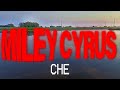 Miley Cyrus Che Amateur Music Video